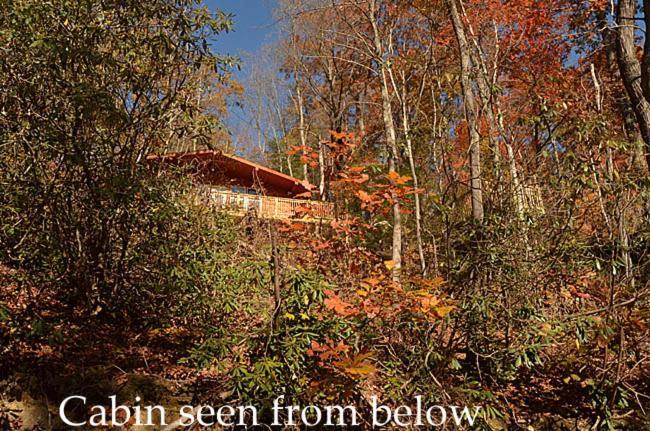 הוילה גטלינבורג #820 Honeymoon Hideaway מראה חיצוני תמונה